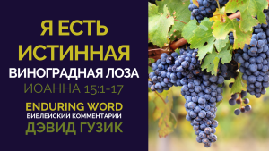 YouVersion John 15 Enduring Word Russian